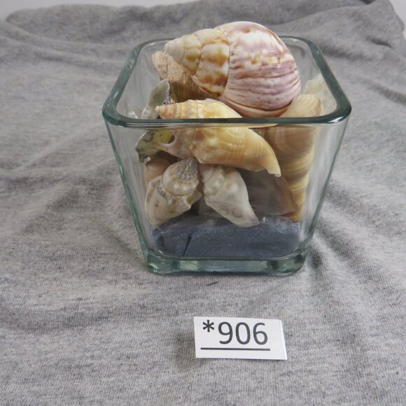 REAL Sea Shells in a Glass Square Vase and sand #13 - Picture 1 of 7